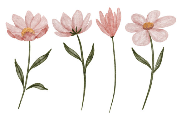 Download Watercolor Petal Cosmos Flower Element - Element Collection